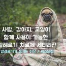 송탄 서정리 동물약국 이미지