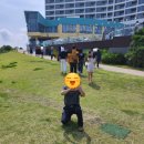 기장 아난티앳 부산 코브 모비딕마켓 후기, 인생샷 나오는 곳 강력추천