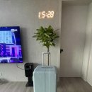 토모트래블