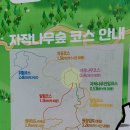 자작나무숲 주차장 이미지