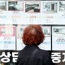 법원부동산공인중개사사무소 조선비즈