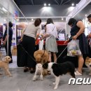 물만난 강아지 이미지