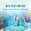 3134 | 시흥 거북섬 놀거리｜아기랑 갈만한곳 실내데이트 파라다이브 트릭아트관 내돈내산 후기
