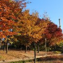 마들스타디움 이미지