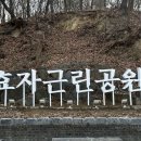 투몬광고디자인