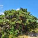 월항면주차공원 이미지