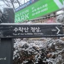 수락초교 Daum카페