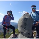 억불산 티스토리