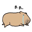 리버스의원 이미지