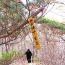 영춘지맥 2010년 11월 21일 조전리도로-국지산-606봉-절터도로-태화산-911봉-620봉-각동리(종점) 이미지