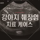 탄방메디칼 이미지