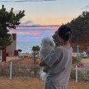 씨엔스타 펜션 | 강원도 고성 강아지와 함께가기 좋은 바다뷰 숙소 추천 '씨엔스타 애견동반펜션'