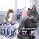 정기 | 고양이모래 추천｜마이도미넌트 벤토나이트 정기배송 후기