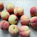 일상의 하루 이미지