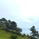 씨 (SI) | JW메리어트제주 : 디럭스 킹 가든뷰 4월 방문 후기 ෆ (아기용품 대여정보)