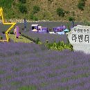 (주)현대관광렌트카 이미지