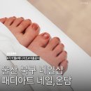 농소초등학교 | 울산 북구 패디 네일온담 자석젤 네일아트 추천 잘하는 곳 패디큐어
