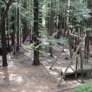 놀이터목장 이미지