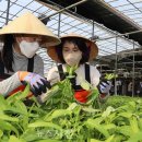 이정기농장 이미지