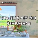 안녕 조수리 | [제주/협재] 제주 분위기좋은 카페, 서쪽 핫플레이스 카페 '줄라이앤어거스트'