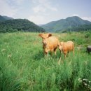 신옥산영농조합법인 이미지