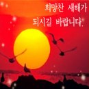 대통건강