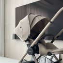 (주)코리아세븐 영통5단지점 | 절충형 유모차 추천 실버크로스 듄2 내돈내산 솔직후기 대구신세계백화점