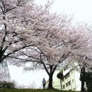 온천천 자전거대여소 옆 이미지