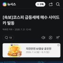 코스피 급등세에 매수 사이드카 발동 이미지