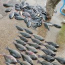 상비민박 이미지