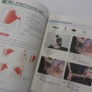 한테라피