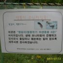 보호종 맹꽁이 서식지 보전 - 인천 서창2지구 이미지