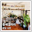 중세갤러리 | 분당 사주 철학관 중세갤러리 다녀온 솔직한 후기