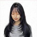 벨로드