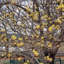 달전시목지 이미지