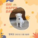 행복이 있는 정철학 이미지