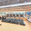 짐에센셜 이미지