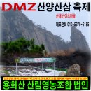 산채산양삼체험행사신청[1회용화산산채산양삼축제] 이미지