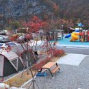 청량산 캠핑장 이미지