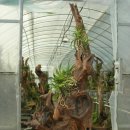 내고향산장 이미지