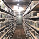 임선영농장 이미지