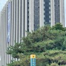 국립고궁박물관 | 아이랑 가볼 만한 곳 경복궁 투어 1탄 국립 고궁박물관 후기