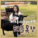 금와목장 | 하동 해뜰목장 아이와 당일여행코스 목장체험 치즈 피자만들기