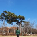 수원 일월수목원에서(2월17일,토) 이미지
