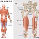 지니짐 헬스 이미지