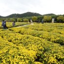 2025 태화강 국가 정원 가을 축제 개막 이미지