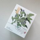 금빛농원 | [무화담] 만병통치 황칠차, 금빛황차 선물박스 후기