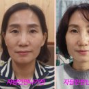 자담인 자연점
