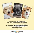 고덕24시 동물병원 이미지