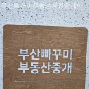 화님부동산공인중개사사무소 | 부산부동산 부산빠꾸미부동산공인중개사사무소 꼼꼼한 상담